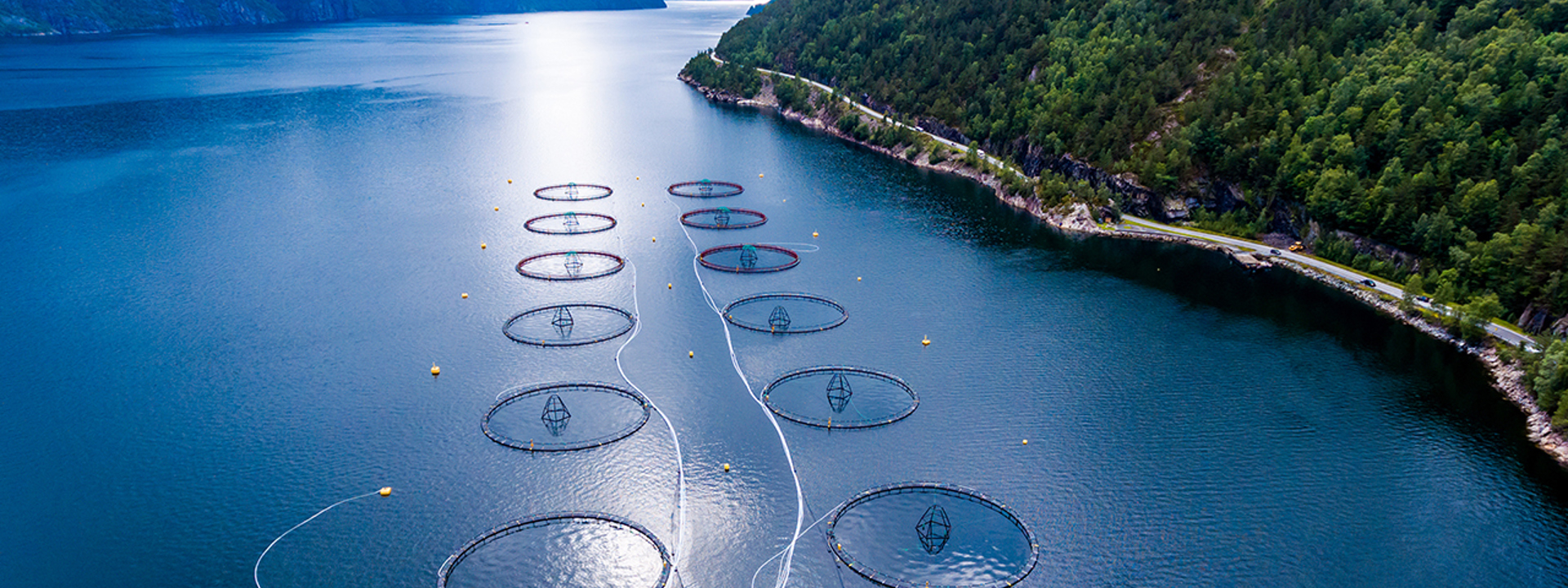 Fish farming