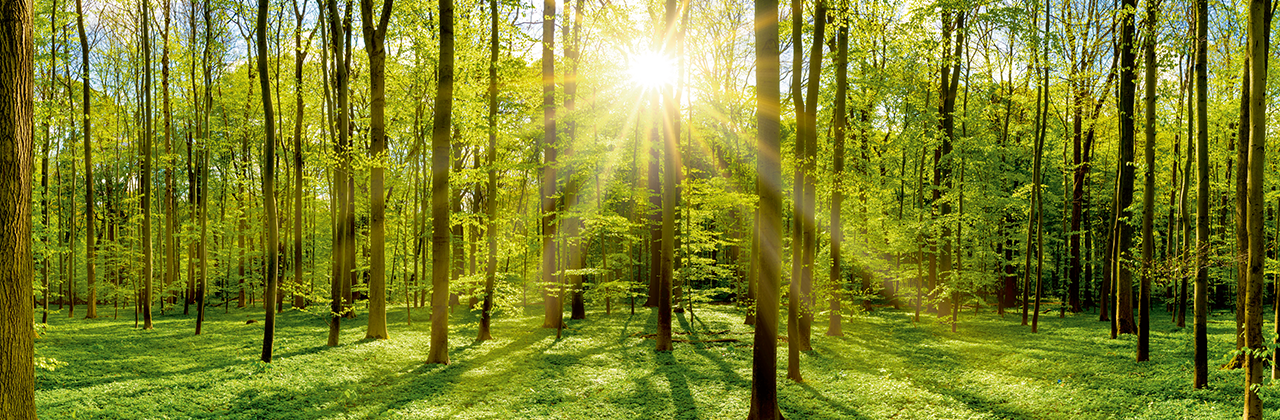 Indumation 2026 | Kortrijk Xpo België | 4-6 Feb | Stand 542 | Danfoss Drives