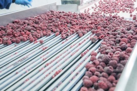 Food Processing and Storage - Danfoss