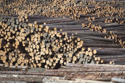 Wood applications
