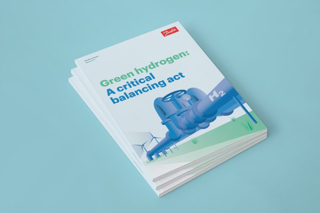 Green hydrogen: A critical balancing act