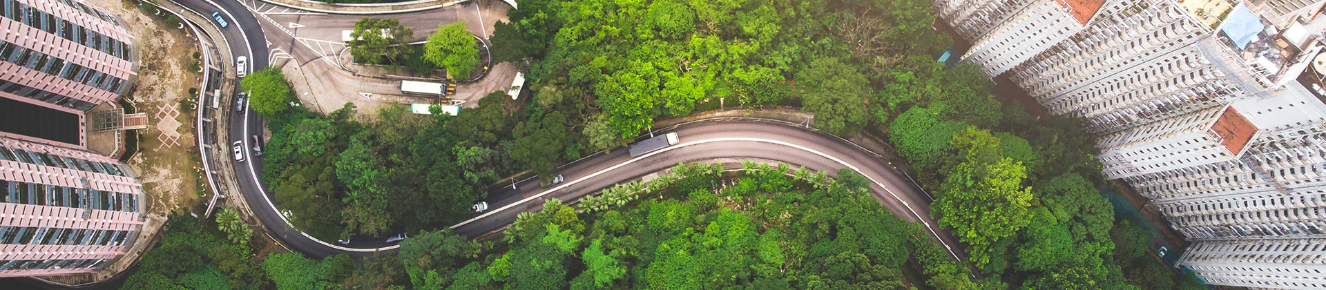 Aerial shot of a road surrounded by trees and buildings