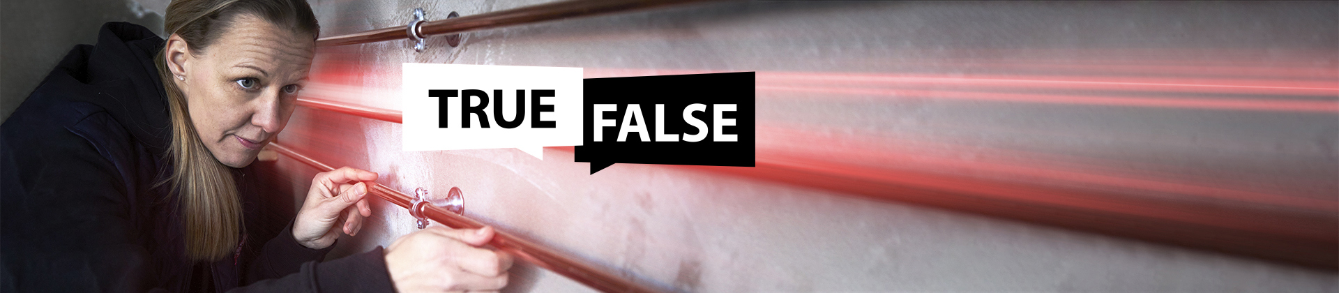 Quiz - Richtig / Falsch