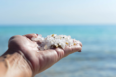 Salt Web 