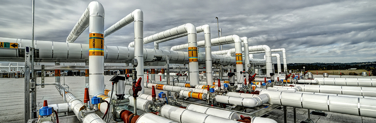 L’ammoniaca nella refrigerazione industriale