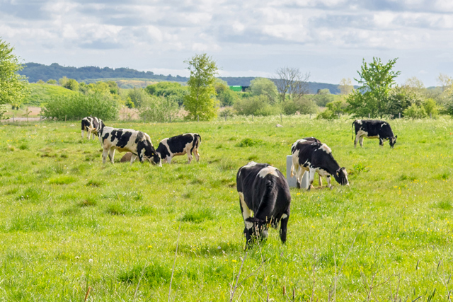 A DrivePro® szolgáltatások segítségével az Arla Foods Ingredients csoport 5-15% -os energiamegtakarítást érhet el