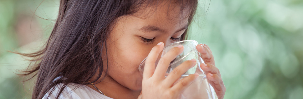 Danfoss High Pressure Pumps (HPP)