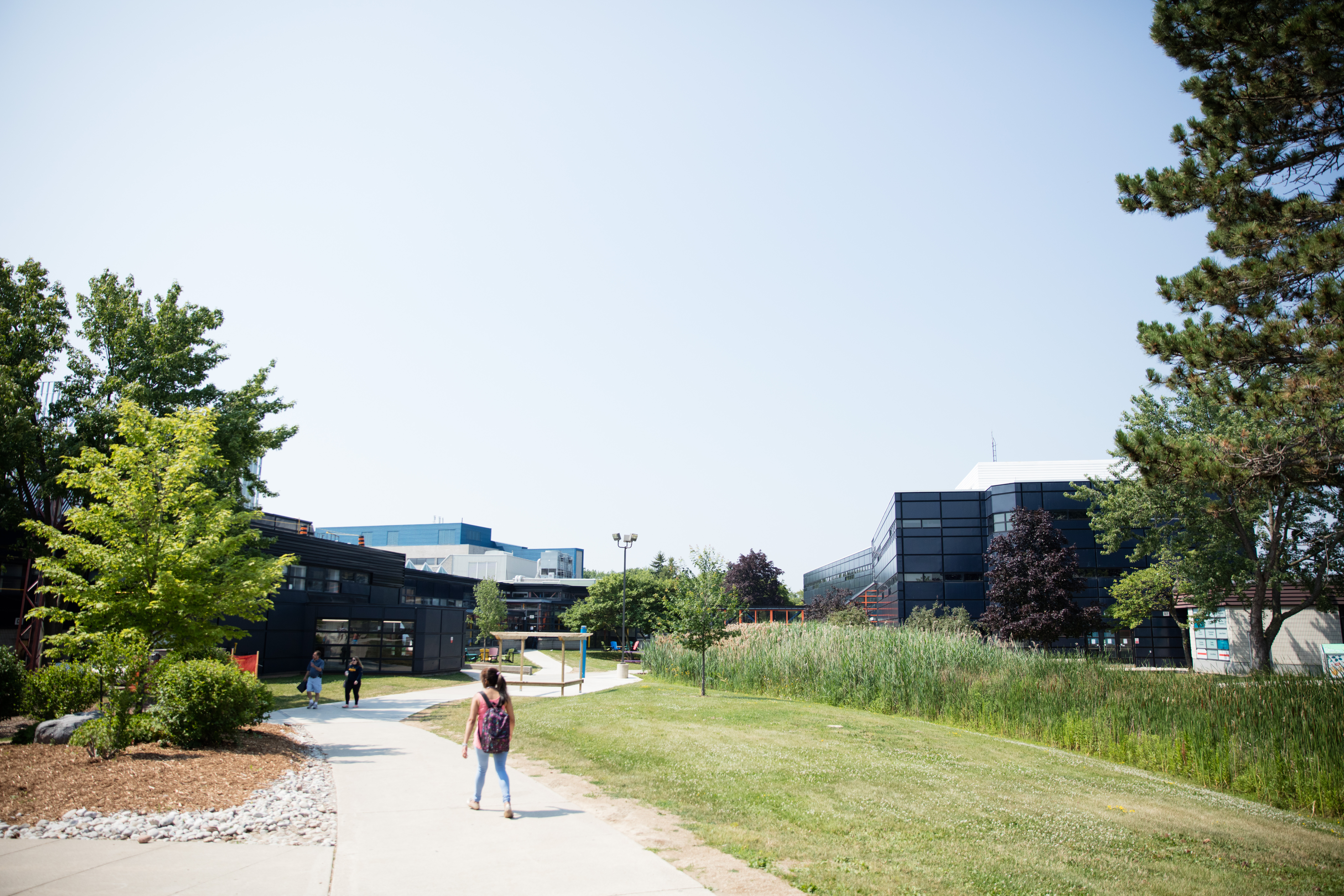 Sheridan College