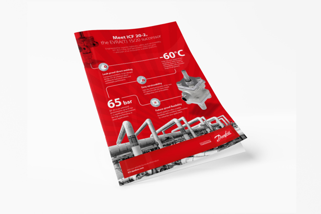 Infografía ICF20 2