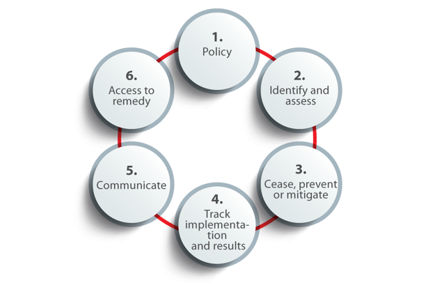 Proceso de diligencia debida