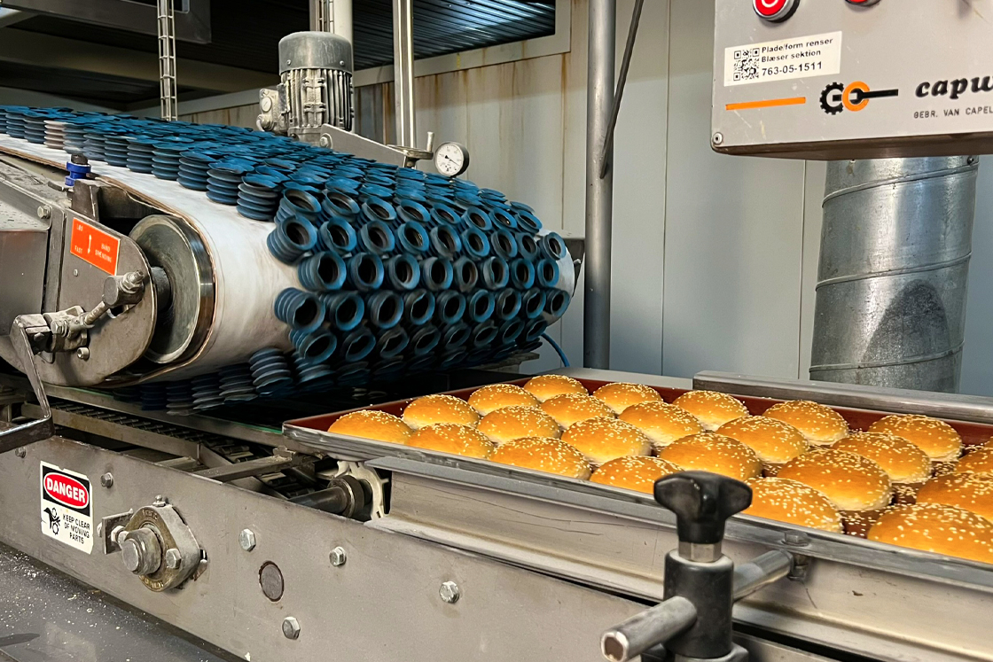 Conveyor line of buns at Kohberg Bakery