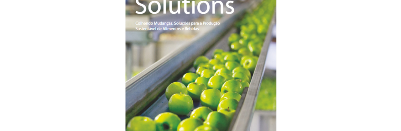 Solutions Edición 11