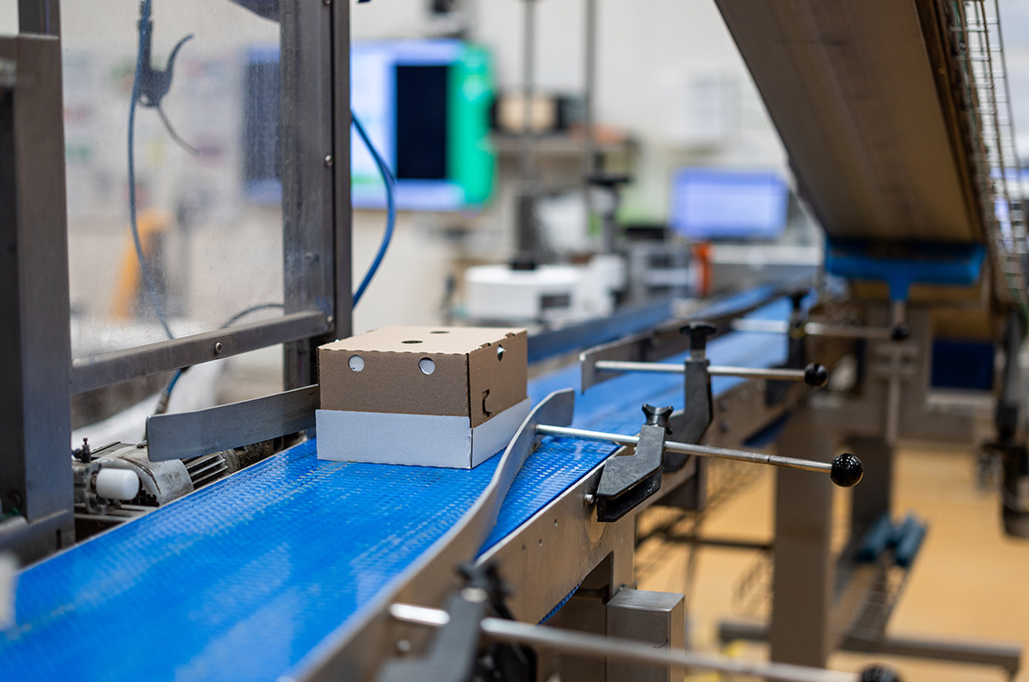 Processing and packaging lines