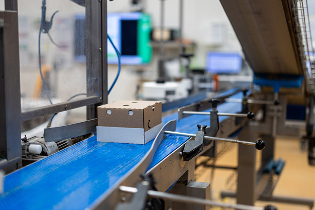 Processing and packaging lines