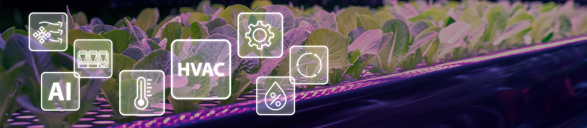 Vertical Farming solutions