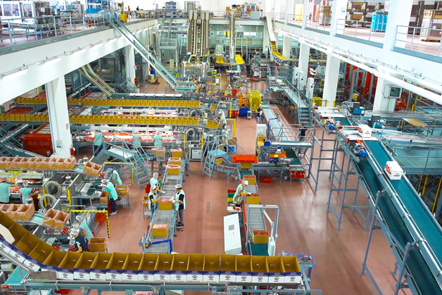 Rivoira 集团 Verzuolo 工厂内的苹果