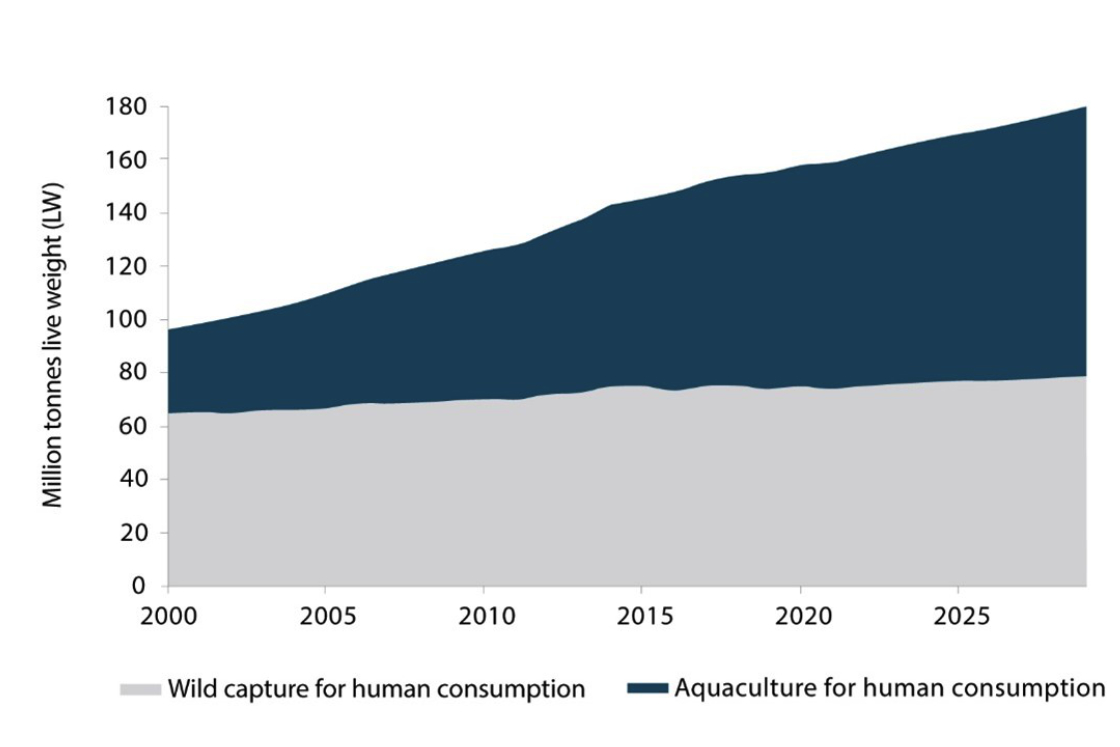 Graph Salmon Farming