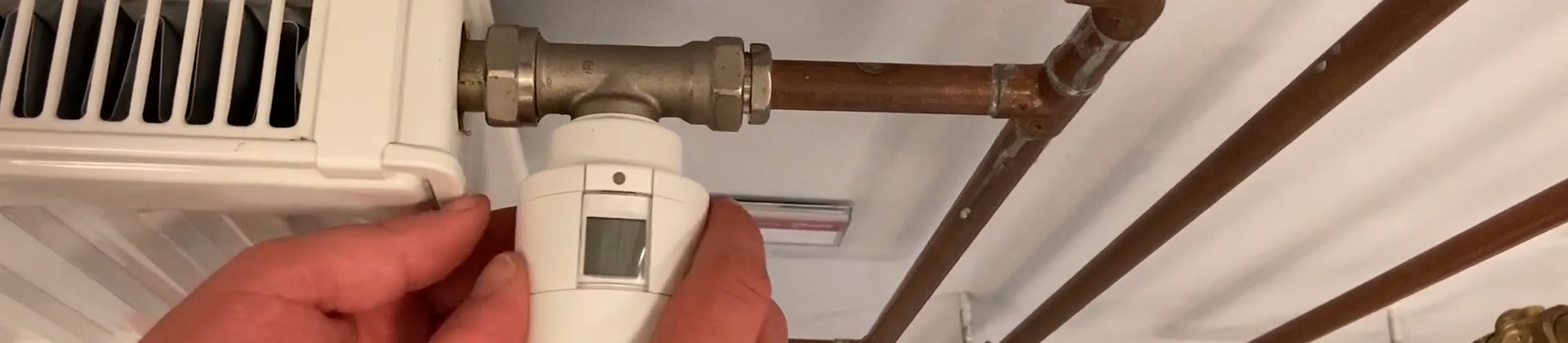 ally video thumbnail