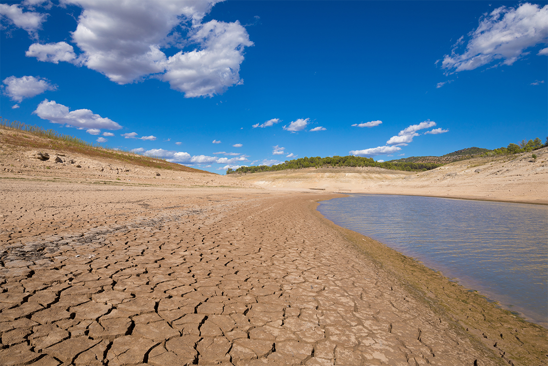 Drought