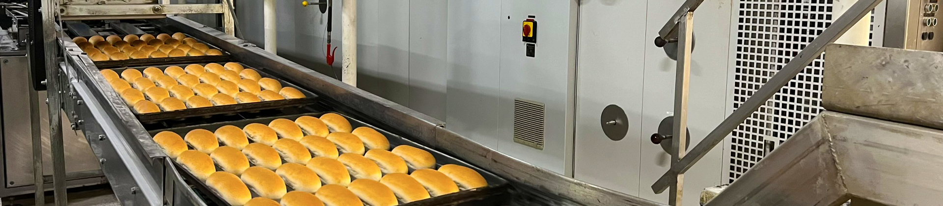 Linea di trasportatori di panini per hot dog presso Kohberg Bakery