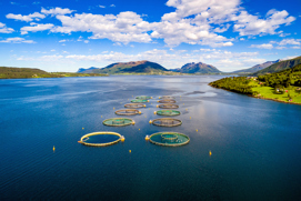 Aquicultura