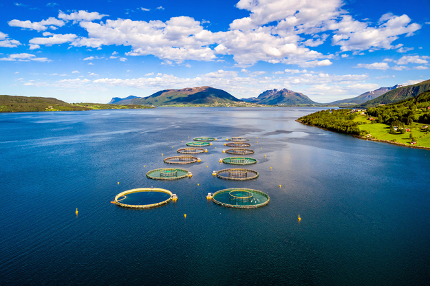 Aquicultura