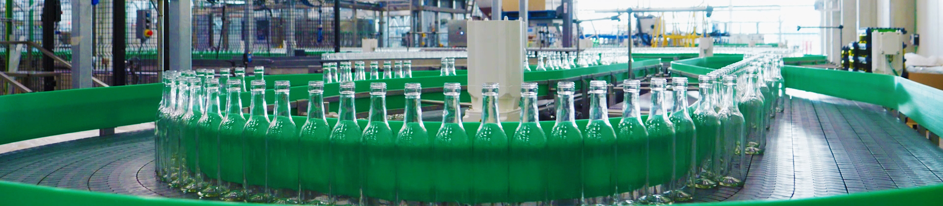 Groene flessen in een bottellijn bij Delhaize wijnbottelarij