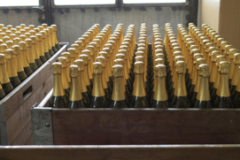 SPARKLING WINE PRODUCER