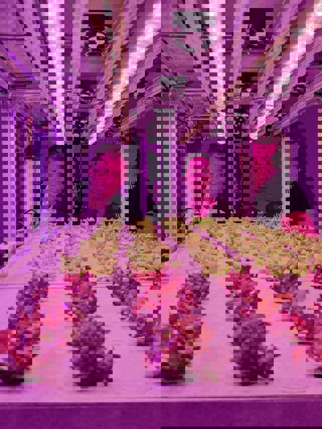 vertical farming vegetable uv light