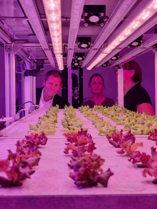 vertical farming vegetable uv light