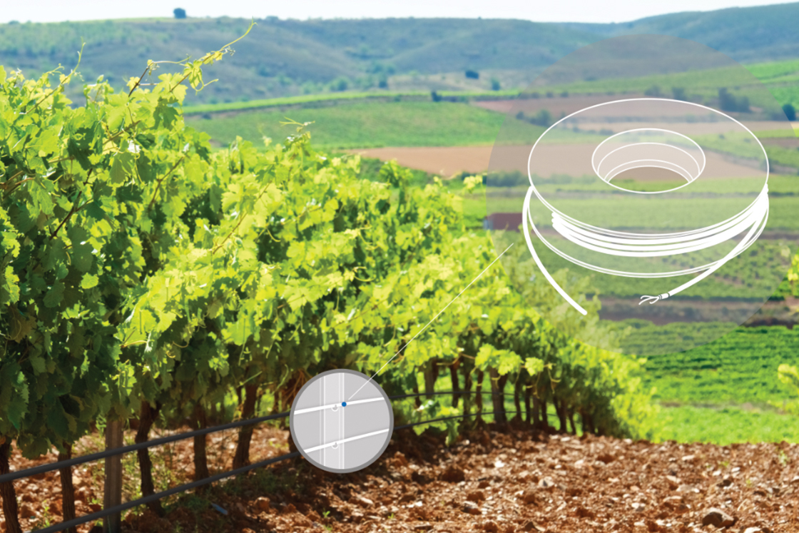 Vineyards frost protection Danfoss