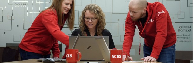 Software engineering services