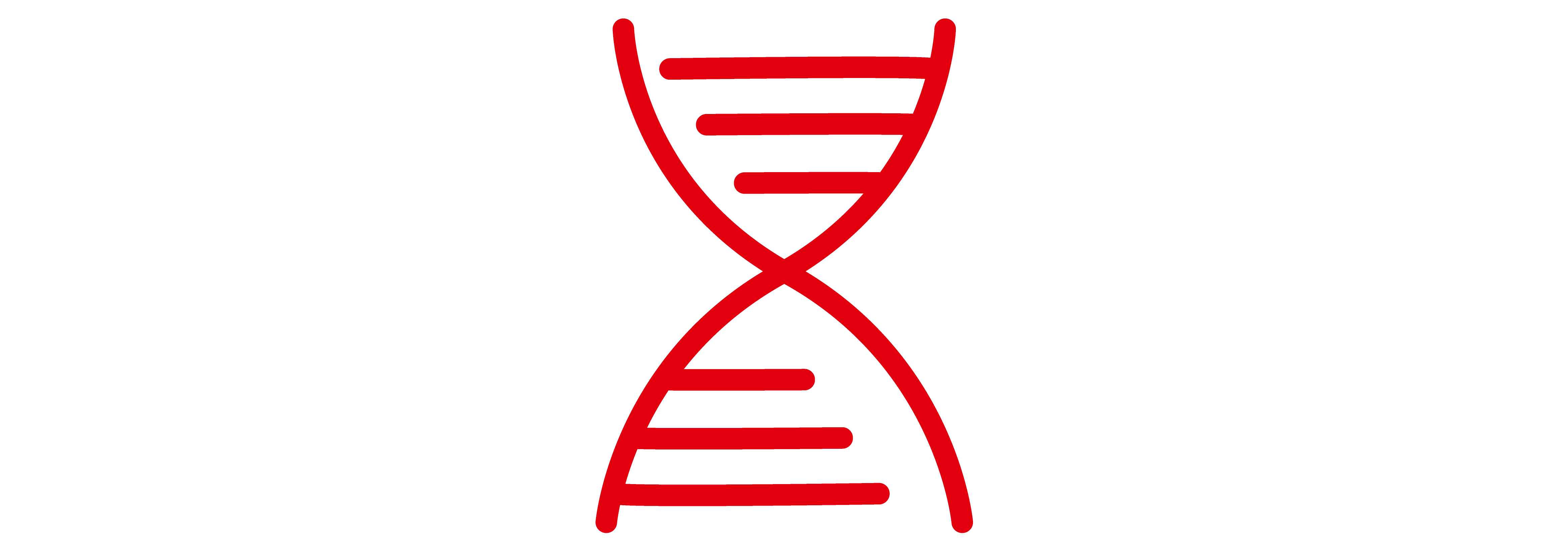 Join a family owned company with a strong DNA