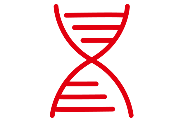 Rejoignez une entreprise familiale avec un ADN ancré