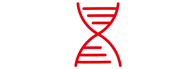 Rejoignez une entreprise familiale avec un ADN ancré