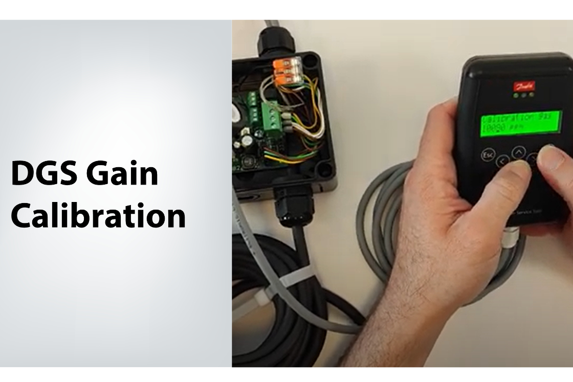 DGS Gain Calibration