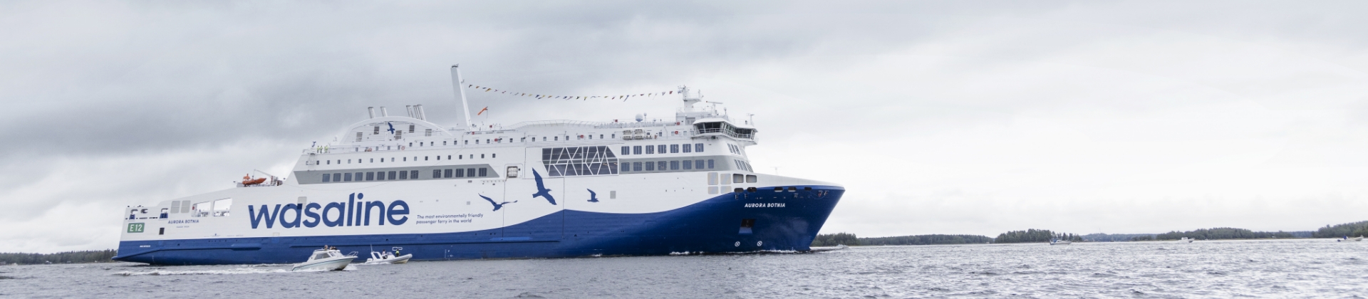 Wasaline-ferge i åpent farvann