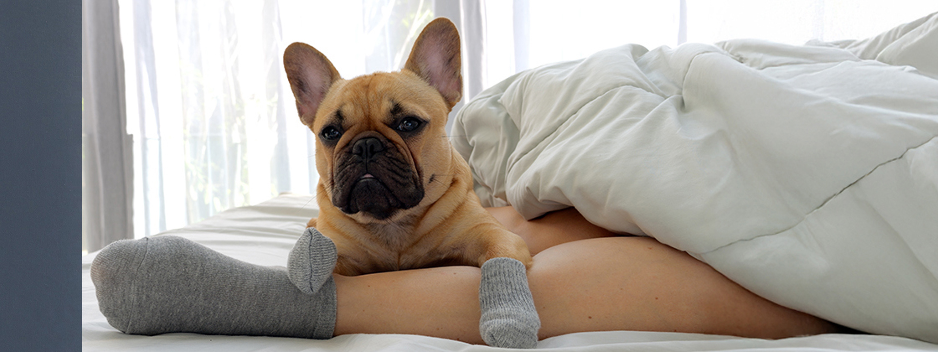 Laimėkite su Danfoss