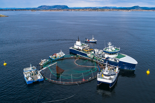 SWRO e aquicultura